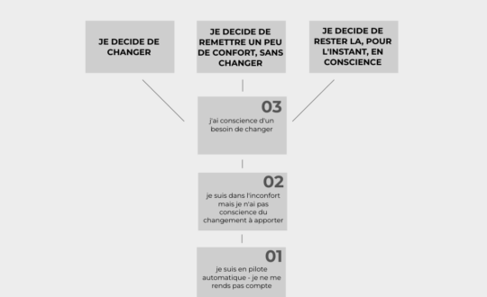 freepik-arbre-du-changement-20260321164550J8Gv